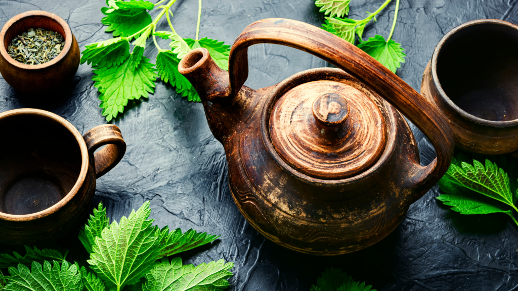 Unlocking the Health Wonders of&nbsp;Nettle